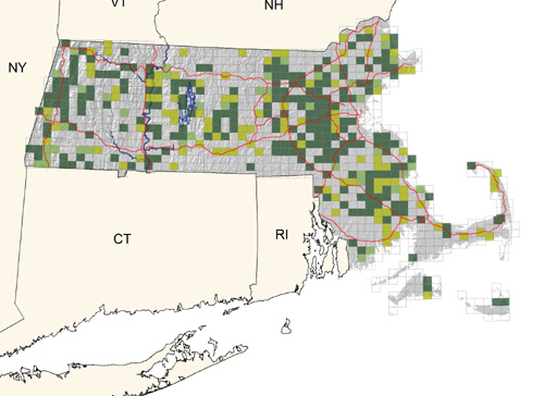 fairly common and widespread in wetlands throughout the state; status correlated with availability of nest boxes