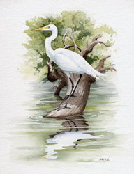 Great Egret