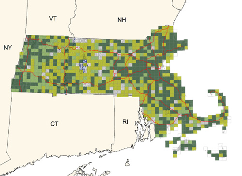 common and widespread  throughout the state