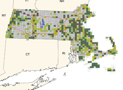 fairly common and widespread in grasslands and smiliar open situations; possibly declining