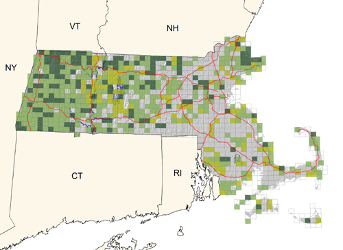 common in open woodlands and second growth of central and western areas; less common eastward