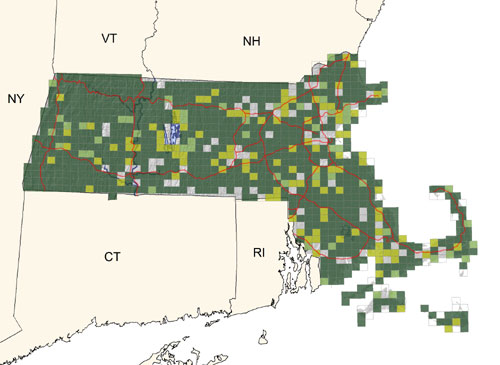 common or abundant throughout the state; nests within barns or similar structures