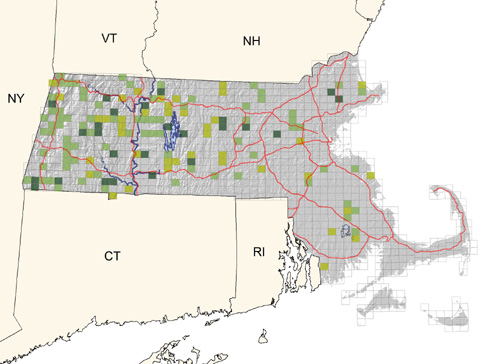 uncommon in western regions, scarcer in eastern sections where associated with Red Maple swamps; absent on Cape Cod and the Islands