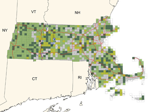 uncommon to fairly common and widespread throughout the state in mixed and deciduous woodlands