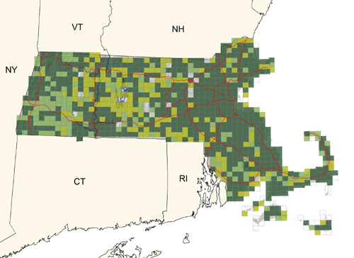 common and widespread in a wide variety of habitats