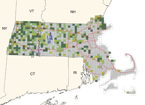 locally common in hay fields and meadows; less common and local in the eastern region; practically absent from the Cape and Islands