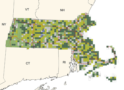 common brood parasite of smaller passerine species throughout the state