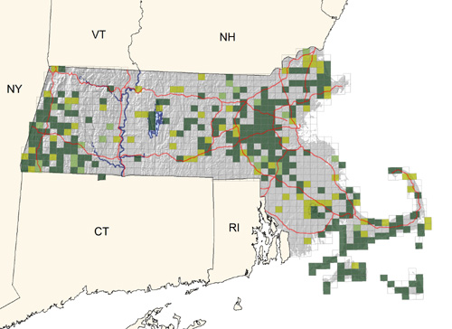 locally common where suitable wetlands and forage areas occur; spreading and increasing