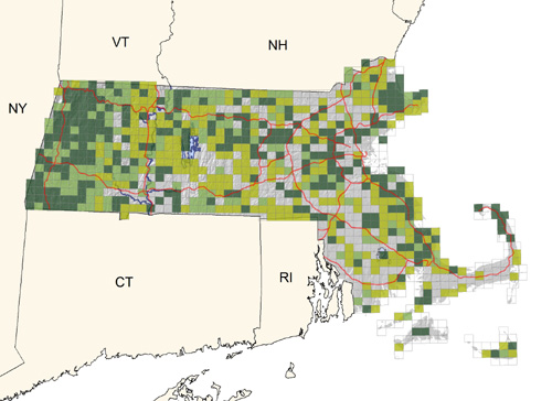 common in brushy fields, forest openings, and suburban settings