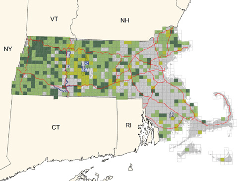 fairly common in second-growth and deciduous woodland edges; scarcer in southeastern region