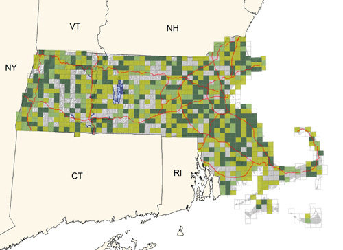 common and widespread; less common on the Cape and Islands