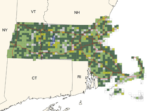 common along roadsides and in fields and residential areas throughout the state