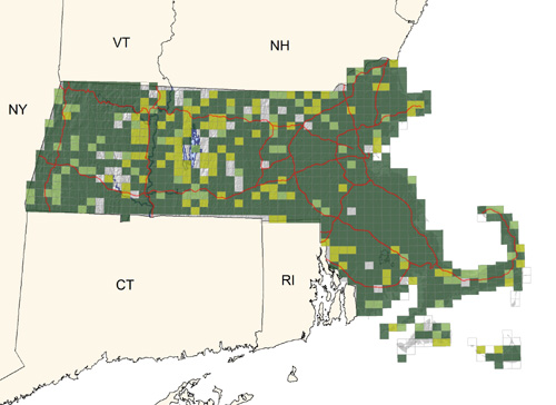 very common throughout the state in a wide variety of habitats