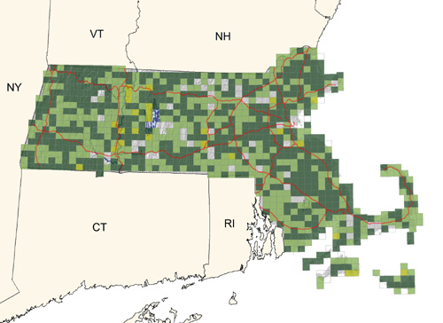 common to very common in moist thickets and brushy areas throughout the state