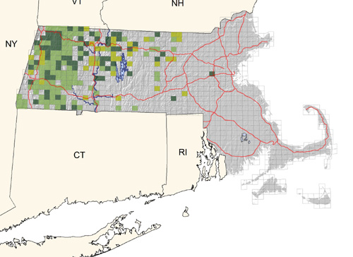 fairly common in open areas of coniferous and mixed woodlands of hill country; rare in eastern Massachusetts