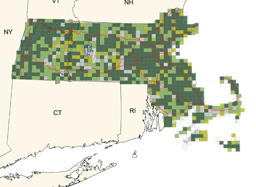 common throughout the state in open areas, especially near water