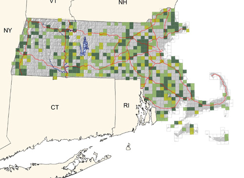 uncommon in fields, meadows, and grasslands throughout most of the state