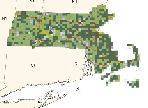 common in brushy second growth and open woodlands; very common on the Cape and Islands; declining