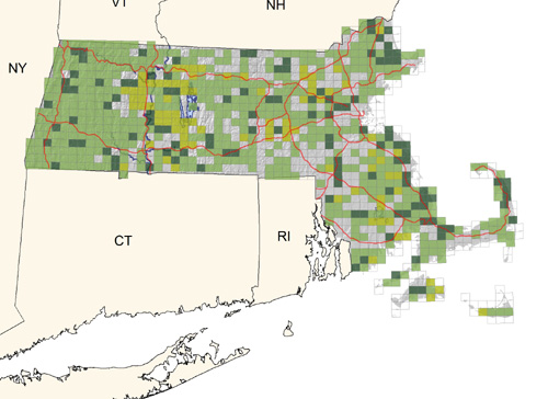 common in woodlands throughout the state; especially common in Pitch Pines of the southeastern coastal plain