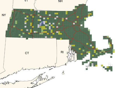 very common throughout state in all but the most wooded habitats