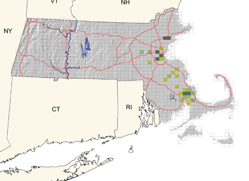 uncommon and local in southeastern Massachusetts and Greater Boston; occasionally inland; increasing