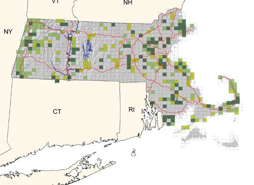 widespread but uncommon; most common in southern coastal regions but absent on the Islands