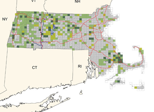 fairly common in mixed woodlands and pine barrens of the southeastern region