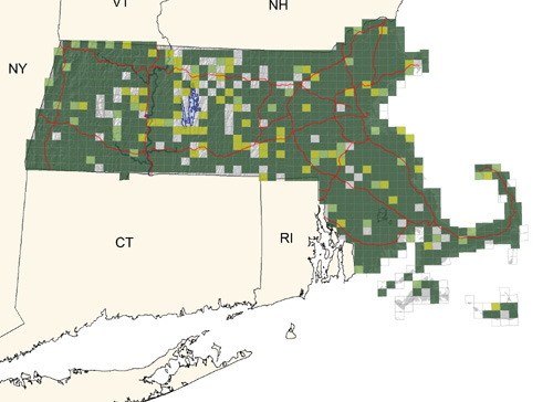 common around most areas of human habitation, especially farmland