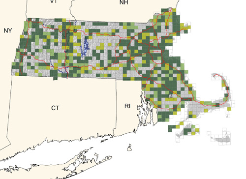 fairly common and widespread in a variety of open habitats including parks and playgrounds; absent on Nantucket