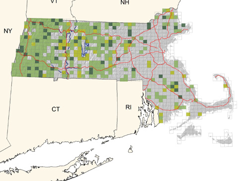 fairly common in open woodlands in central and western regions but uncommon and declining in eastern sections