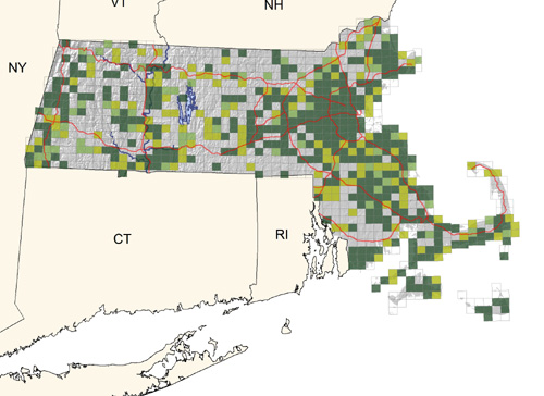 common and widespread in areas of freshwater ponds and marshes, including city and town parks