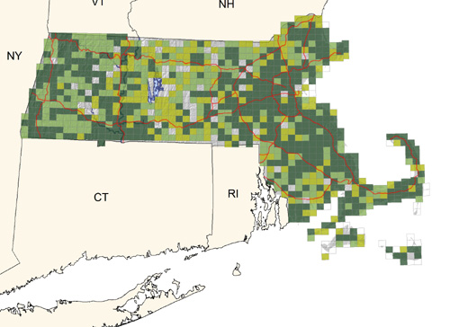 common and widespread in a wide variety of habitats