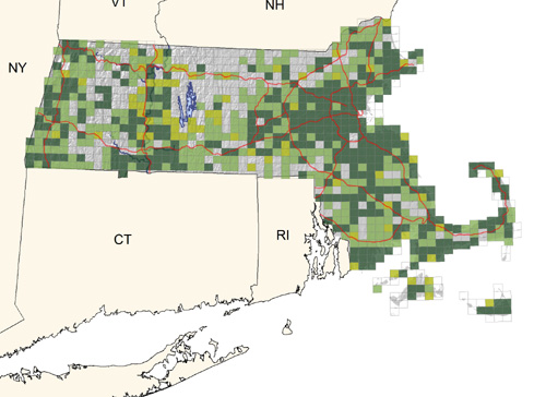 common in thickets and residential areas throughout the state; absent in extensive woodlands