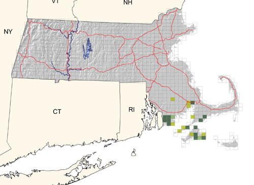 locally common in southeastern coastal region; increasing northward and locally inland