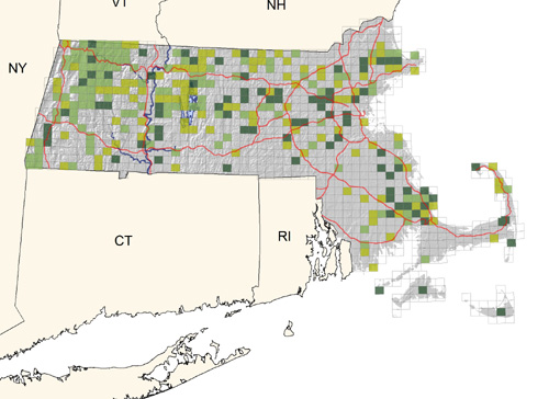 uncommon in coniferous woodlands of central and western areas; less common in eastward region