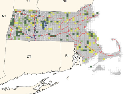 uncommon in moist woodlands and wooded swamps; virtually absent on Cape and Islands