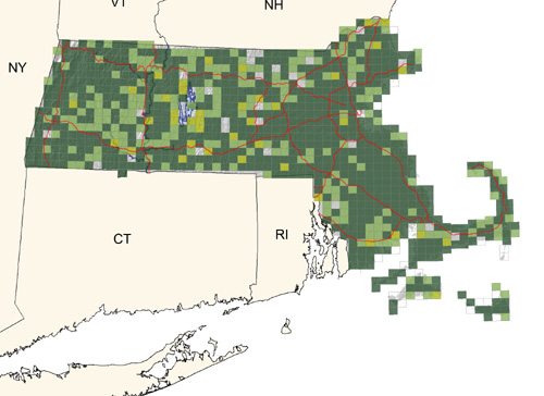 very common in marshes, wet fields, and most other wetlands throughout the state