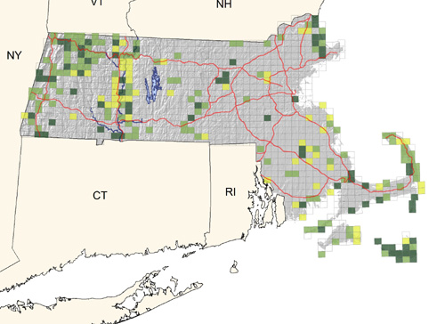 common in coastal dunes and pastures; less common in grasslands and agricultural areas of interior regions