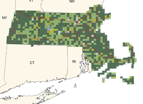 common throughout the state in thickets, brushy fields, and woodland edges