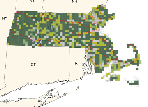 locally common throughout state, especially near water