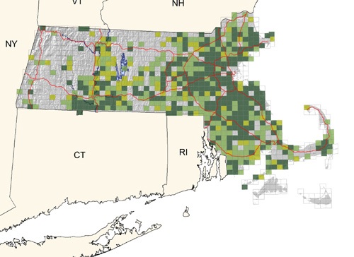 common in deciduous woodlands; absent in higher elevations and on the Islands