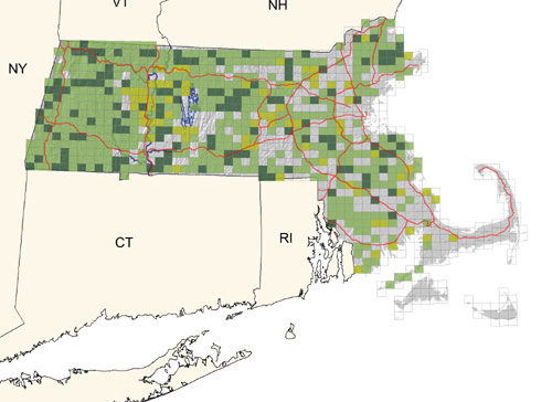 common in moist deciduous and mixed woodlands; scarce or absent on the Cape and Islands