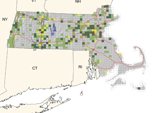 locally common along major watercourses, less common elsewhere; virtually absent on southeastern coastal plain