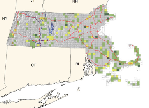 generally uncommon and local, most common in the southeastern coastal plain; declining