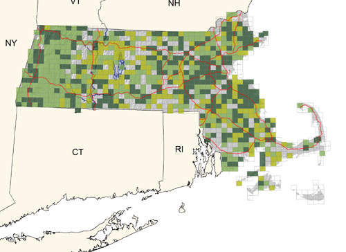 fairly common in deciduous woodlands; scarcer in southeastern coastal areas and absent on Nantucket