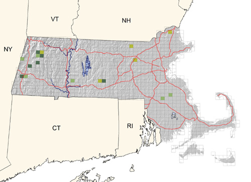 rare and local in bogs and freshwater marshes; most frequent in western regions