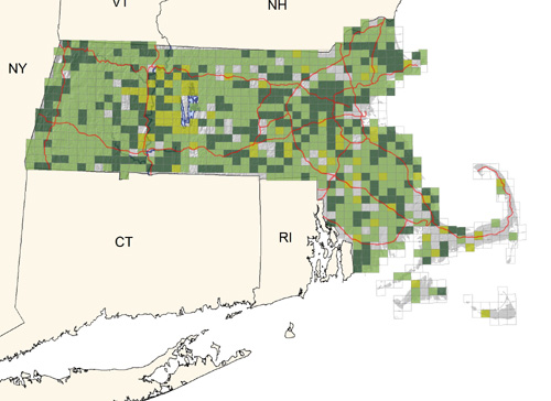 common in deciduous woodlands; much less common on the Cape and Islands